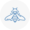 Bee Nest Removal Ilminster