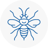 Ilminster Hornet Nest Removals