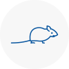Mice Exterminators In Ilminster