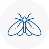 Moth Control Specialists In Ilminster