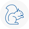 Ilminster Rodent Removals